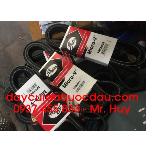 Dây curoa C80 Mitsusumi Sanlux 