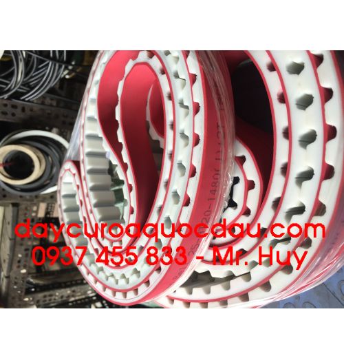 Dây curoa đai răng 1600 8M American Premium Belt 