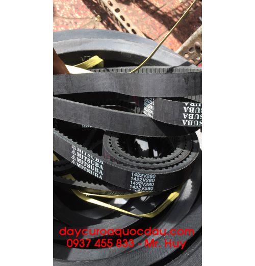 Dây curoa đai răng 1600 8M American Premium Belt 