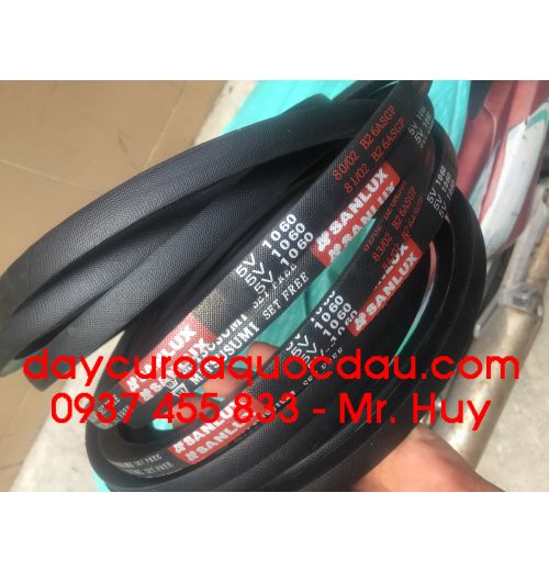 Dây curoa 5V1060 Mitsusumi Sanlux 