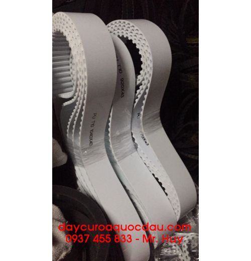 Dây curoa Pu T20 - 50 American belt 