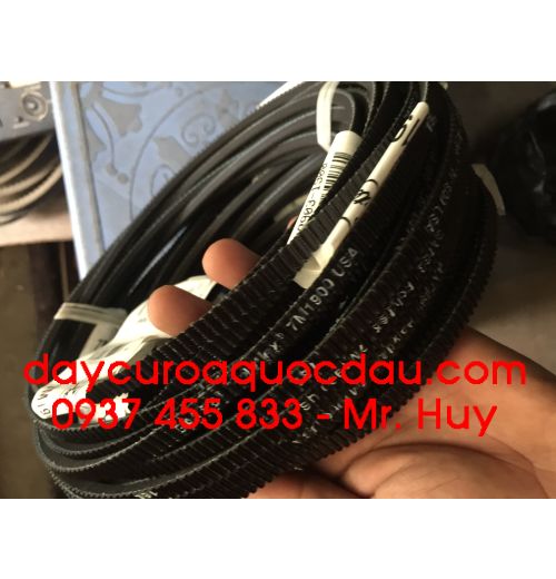 Dây đai răng HTD 896 8M American Premium Belt 