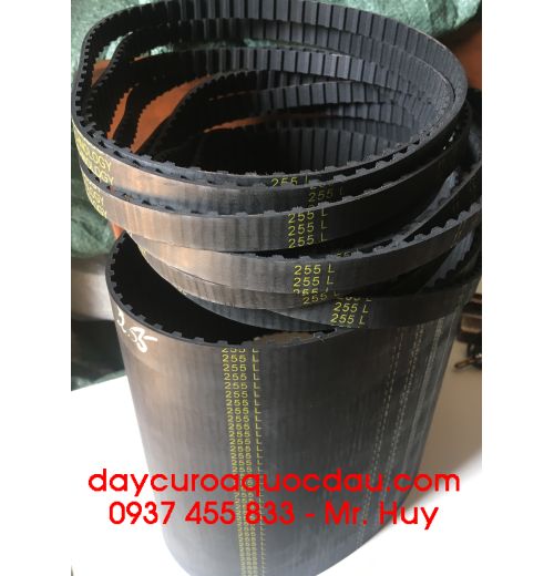 Dây curoa răng 255L