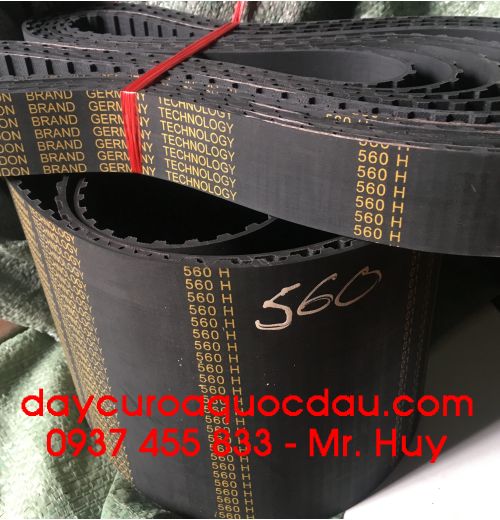 Dây curoa răng 560H Hiệu Lyndon