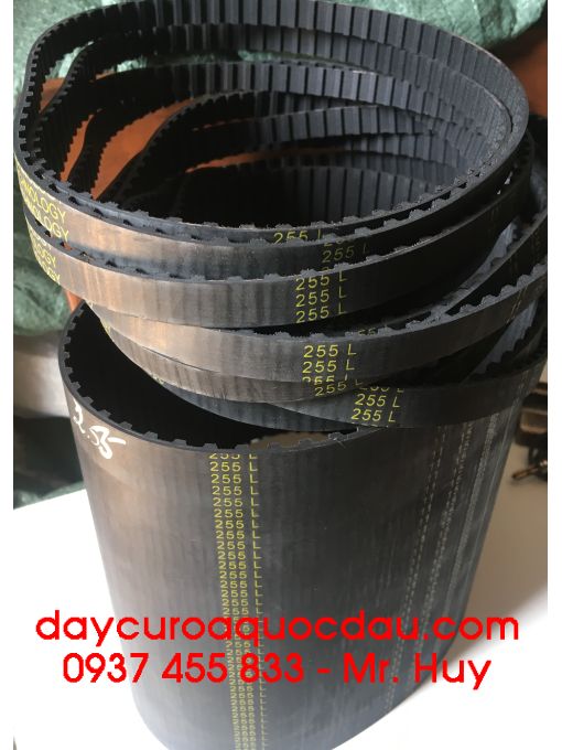 Dây curoa răng 255L