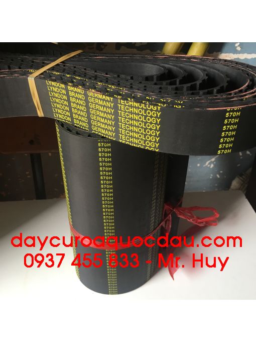 Dây curoa răng 570H Lyndon